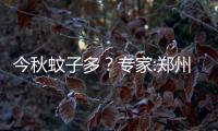今秋蚊子多？专家:郑州白纹伊蚊密度明显比往年大