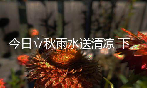 庄神18分20板5帽韦德仅2分 活塞终止热火三连胜 雨水据省气象台最新预报