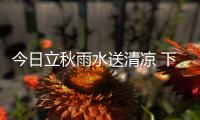 今日立秋雨水送清凉 下周河南重启高温天气