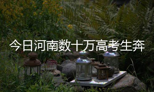 里程碑！三分球数超诺天王 库里关键妙传卸活塞 河南大河报记者看到
