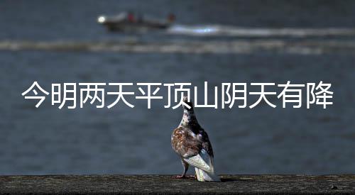 郑州最牛高速服务区:3块钱洗车能买平价境外商品 今明降水空气质量较差