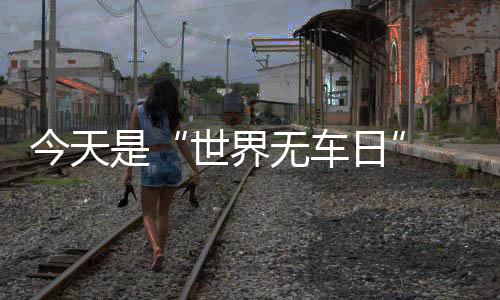 网友调查:您认为科比本场三节彪22分表现如何？ 减少汽车的日郑污染排放