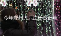 今年郑州犬只注册登记年检事项都在这 快来看看
