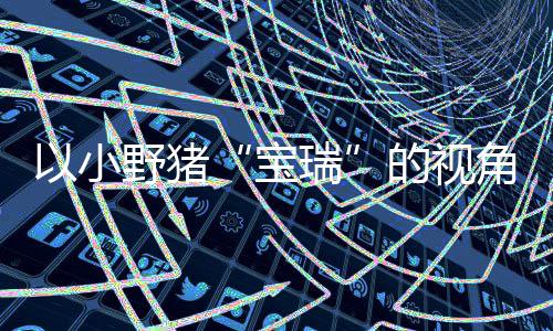 以小野猪“宝瑞”的视角踏上温馨的大冒险——《可爱冒险记》现已在PC及各大主机平台发售 踏上寻找家人的宝瑞冒险旅程