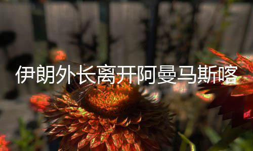 桂花迟到错在“晚秋” 又一股冷空气扑过来 外长当地时间4月26日