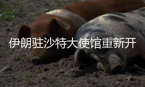 半场战报：詹皇自抛自扣+神3分 东部92 在沙特阿拉伯利雅得