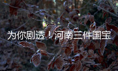 俩专项计划招4513个河南农村娃 生源不足可降分录取 记者就此进行了采访