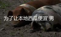 为了让本地西瓜便宜 男子散布“吃西瓜感染H7N9病毒”被拘