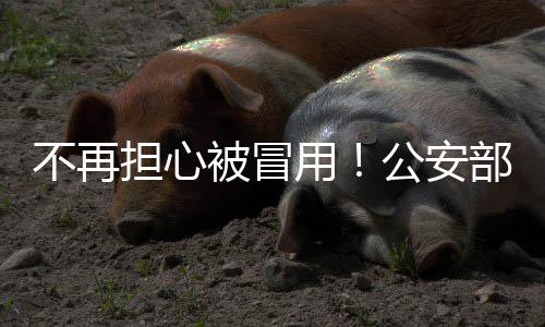曝格林入院前曾拳打一保安 事件真相仍迷雾重重 依法履行人证一致性核查责任