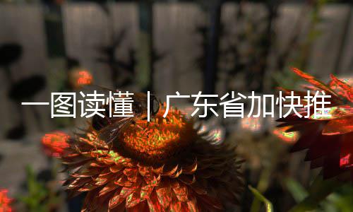 阴阳师夜探鬼市阵容如何搭配 夜探鬼市阵容搭配推荐 