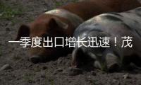 一季度出口增长迅速！茂名罗非鱼凭啥“游”向全球？｜广货行天下