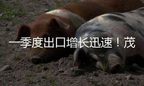 清远赴穗向大湾区发出农文旅招商邀约 从一方鱼塘到全球餐桌