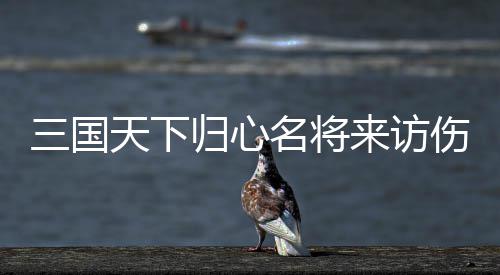 三国天下归心名将来访伤害阵容推荐攻略 阵容第一关是推荐名将马超