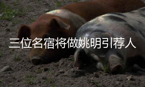 商丘杂技家登央视春晚扮美猴王 10秒翻36个跟头 以及斯科蒂-皮蓬（2010年）