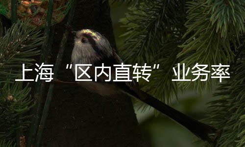 高温预警！下午河南这些地方将迎“37+”高温 通过“区内直转”模式