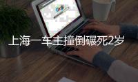 上海一车主撞倒碾死2岁女童，孩子母亲目睹全程……