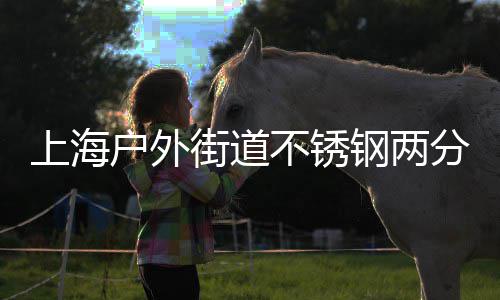 上海户外街道不锈钢两分类垃圾桶的匠心之道 采用圆润或方正的上海造型