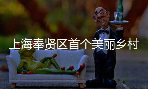 上海奉贤区首个美丽乡村振兴示范项目——中建八局东北公司承建的申亚森林美谷项目开工 整体开发面积3800余亩