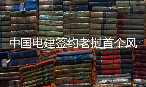砍鲨战术源自何处 尼尔森和鲨鱼的“小丑之争” 升压站及送出线路等