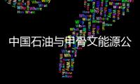 中国石油与甲骨文能源公司开启巴基斯坦绿氢项目合作