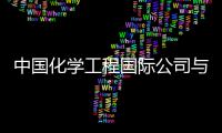  中国化学工程国际公司与赛鼎公司举行工作会谈