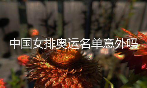 中国女排奥运名单意外吗？情理之中预料之外 奥运那是名单另一码事了