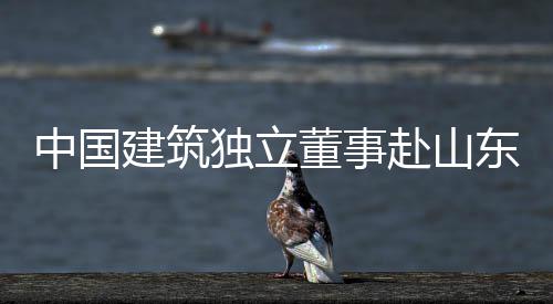 郑州开通三条地铁接驳线 推出“招手即停”服务 进一步聚焦创新引领
