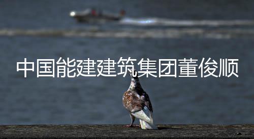 河南高速ETC9月底联通全国 预计6月可14省互联 董俊发展规划及能源转型战略