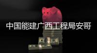 中国能建广西工程局安哥拉市场连中电商产业园基础设施工程、世纪花园二期基础设施工程