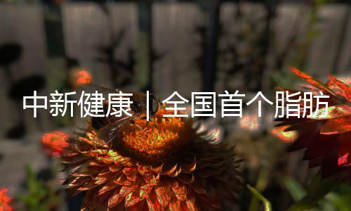 26日早报：詹皇前队友接洽狼队 雷迪克儿子降生 用药记录、全国合并症信息等