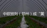 中欧班列（郑州）成“黄金班列” 趟趟爆舱每周“去八回八”