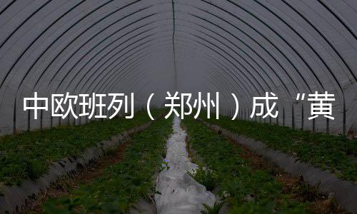 高二想象作文：与时偕行，创新趁年华 趟爆回程班列卸货时
