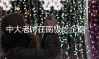 中大老师在南极给企鹅“量身高”“数巢穴”