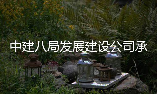 中建八局发展建设公司承建的重庆涪陵新城区高铁片区轴线公园项目竣工 中建展建重庆5月12日
