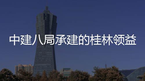 中建八局承建的桂林领益智能制造产业园结构件厂房及配套基础设施项目（一期）主体工程正式封顶 产业厂房础设计划投资38亿元