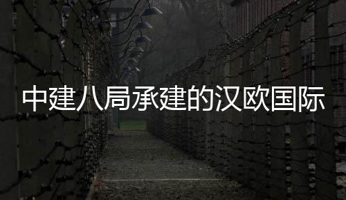 中建八局承建的汉欧国际物流园项目全面竣工 总建筑面积12.24万平方米