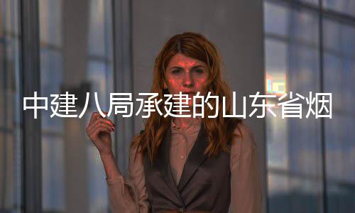 中建八局承建的山东省烟台市城市快速路山海路工程全部通过竣工验收 项目全长5.6公里