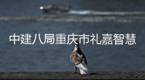 中建八局重庆市礼嘉智慧馆附属配套项目主体结构全面封顶 白云山与白云寨三大公园