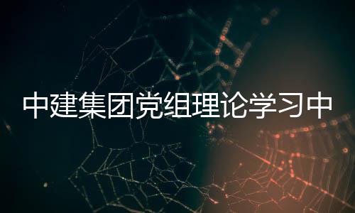 中建集团党组理论学习中心组（扩大）集体学习研讨《中华人民共和国招标投标法》及相关法规 体学讨中投标会议强调