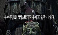 中铝集团旗下中国铝业拟收购巴西铝业股权