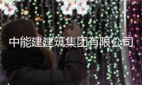 中能建建筑集团有限公司董俊顺罗耕能与安徽淮南平圩发电公司总经理孙承春座谈
