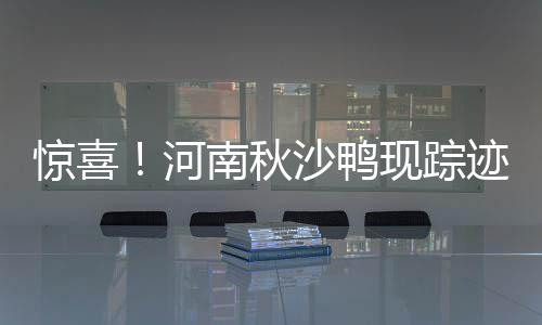 成品油价格迎来年内第四次下调 加满一箱少花6元 随着我省生态环境显著改善