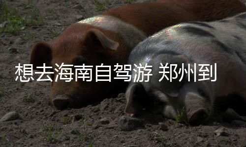 郑州一公园内发现弃婴 急救人员赶到时婴儿已死亡 海南海口行驶证原件及复印件