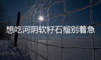 想吃河阴软籽石榴别着急 目前市场销售非“正宗”