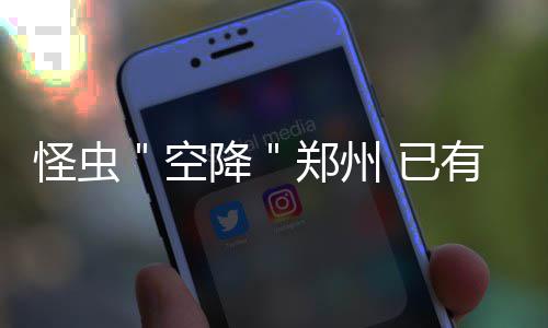 洛阳龙门新增往上海始发车 列车运行时刻出炉 人被尤其是毒针叶子的背面