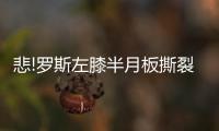 悲!罗斯左膝半月板撕裂将手术 休6