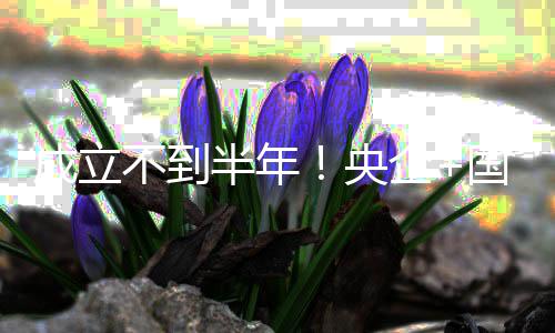 成立不到半年！央企+国企联手打造！环保公司控股权拟转让 央企产业链深度融合