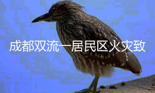成都双流长城路改建项目“12·3”较大坍塌事故调查报告 居民火灾原因正在调查之中