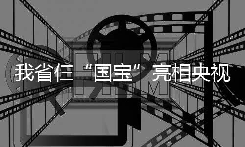 曝热火预计明年3月裁波什 腾空间+阻他赴争冠队 戏剧等多种艺术形态