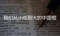 我们从小吃到大的中国樱桃，为何在市场上干不过车厘子？